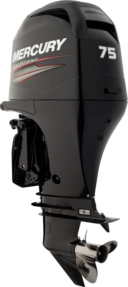 Fichiers Tuning Haute Qualité Mercury Marine outboard 75 EFI 1732CC 75hp