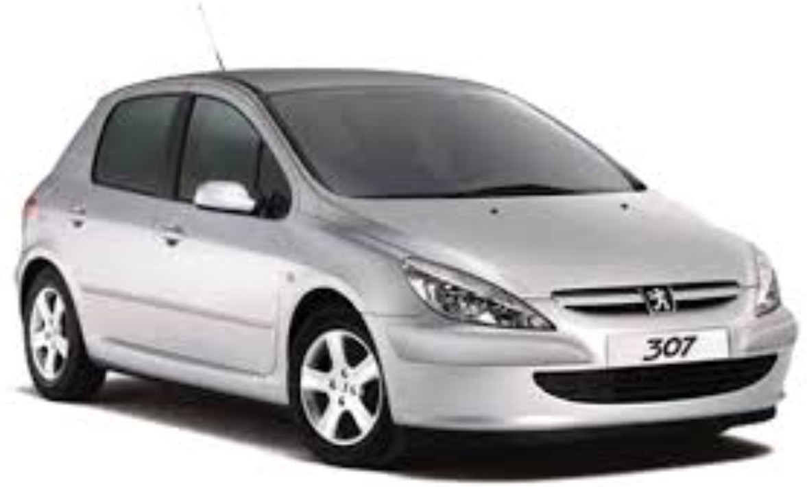 Reprogramiranje vozila Peugeot 307 1.6 HDi 110