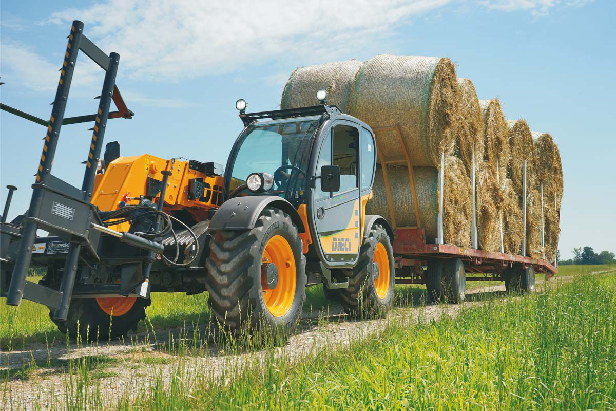 Filing tuning di alta qualità DIECI AGRI FARMER 28.7/VS 3.8 V4 102hp