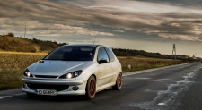 High Quality Tuning Files Peugeot 206 1.6 HDi 110hp